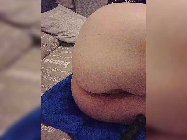 Koshecka77