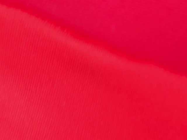 Preview of emma-torres1