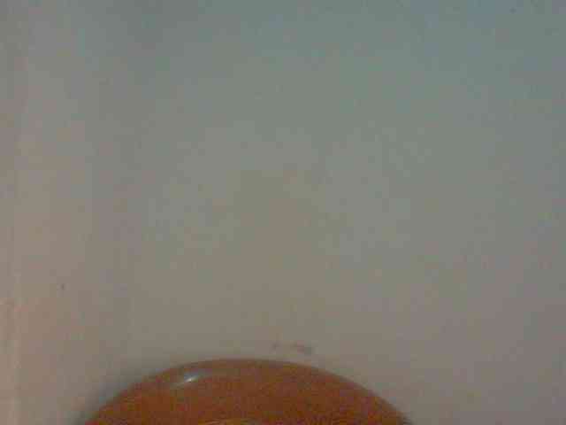 Edwiga webcam
