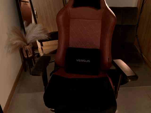 LisaMonroe webcam