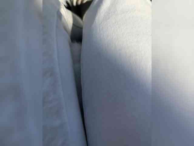 Maikl69Mila1 webcam