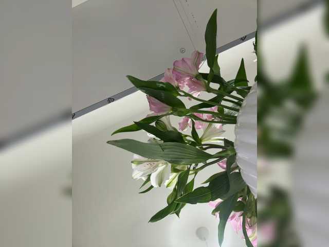 Kiss-krisss live cam on BongaCams