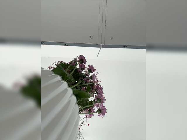 KiKa_Wow preview