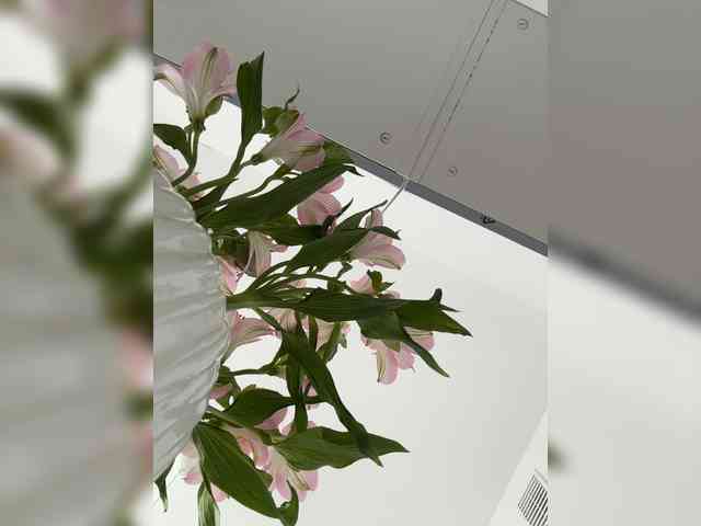 Liza_Klitorchuk webcam