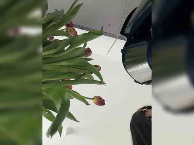 Liza_Klitorchuk webcam