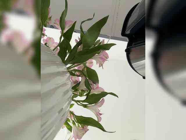 Liza_Klitorchuk webcam