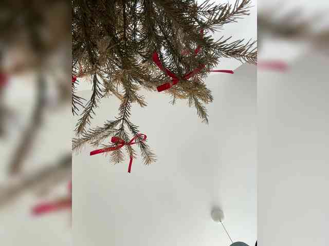 Liza_Klitorchuk webcam
