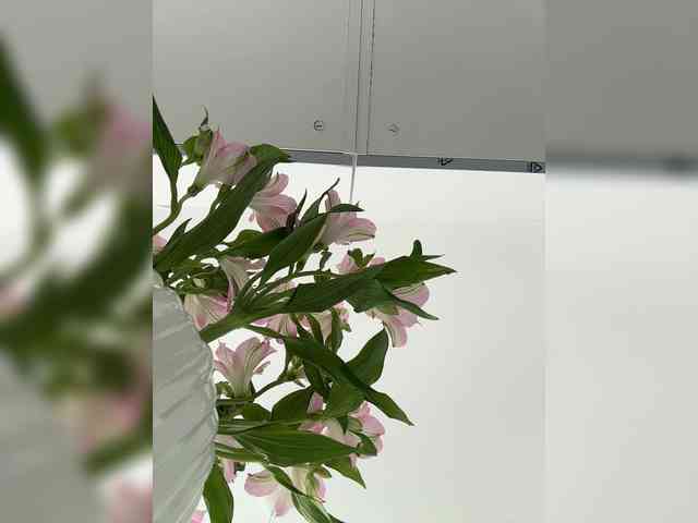 Liza_Klitorchuk webcam