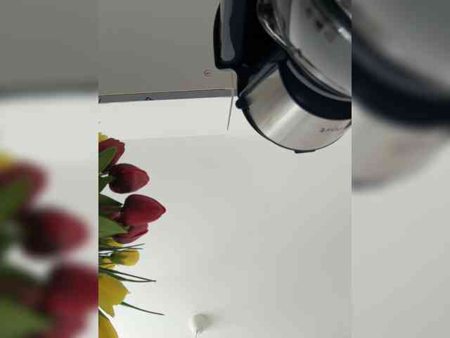 Liza_Klitorchuk webcam