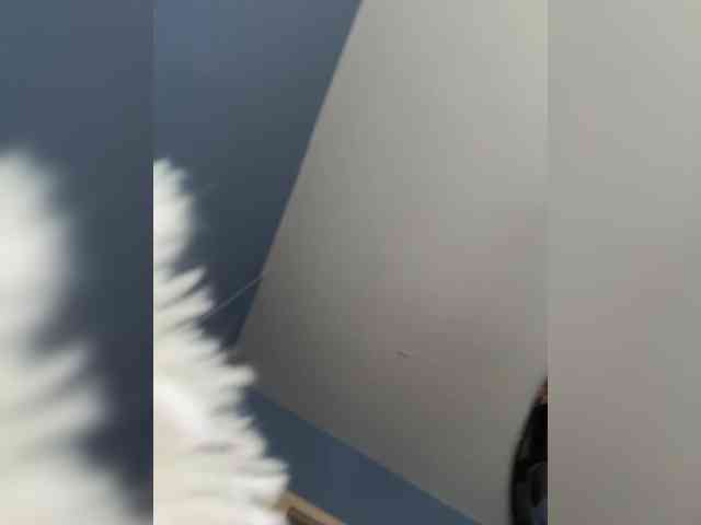 Liza_Klitorchuk webcam