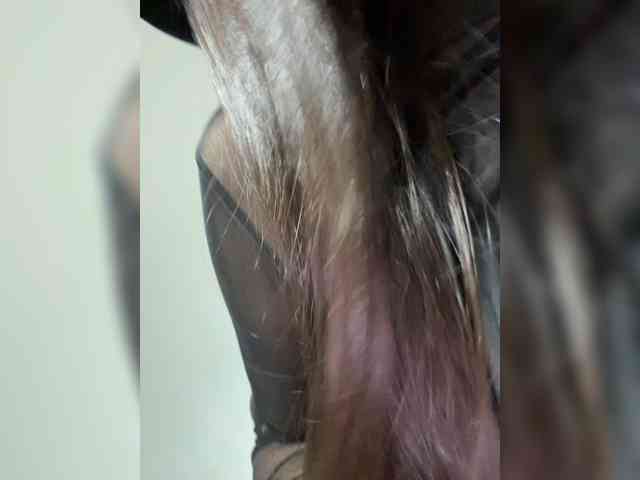 Liza_Klitorchuk webcam