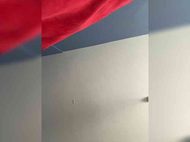 Liza_Klitorchuk webcam