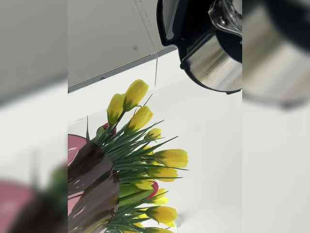 Liza_Klitorchuk webcam