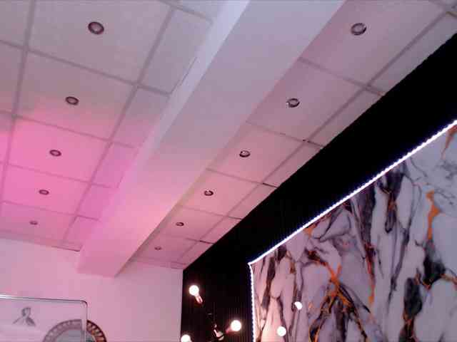 Yuukenzi webcam