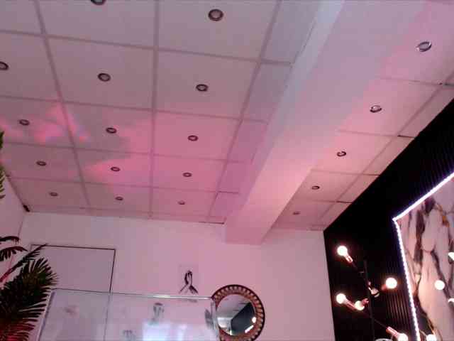 Yuukenzi webcam