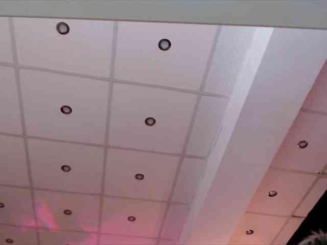 Yuukenzi webcam