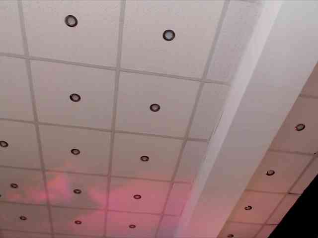 Yuukenzi webcam