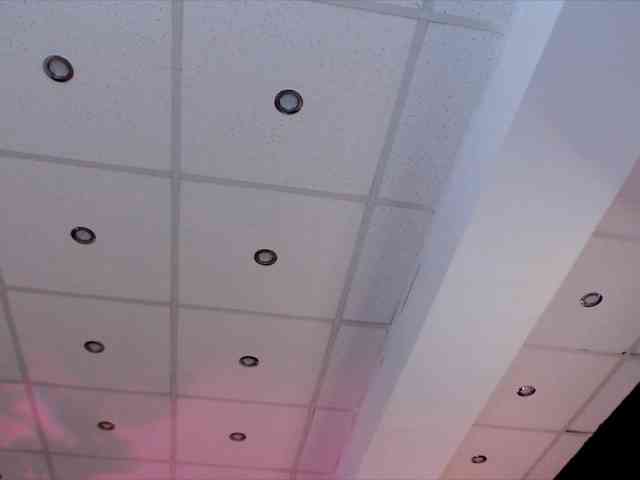 Yuukenzi webcam