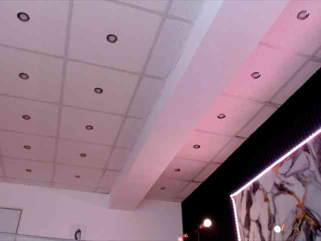 Yuukenzi webcam