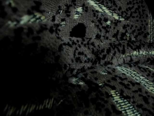 -Squirrel live cam on BongaCams
