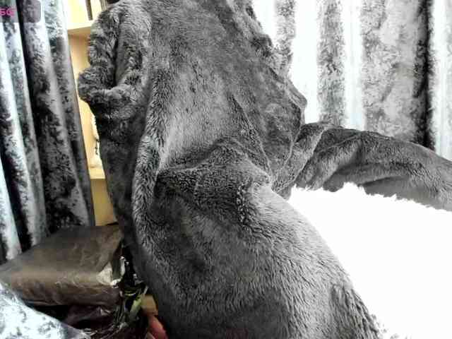 Squirrel-on-the-Bong webcam