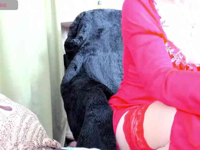 Squirrel-on-the-Bong webcam