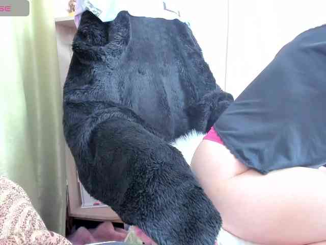 Squirrel-on-the-Bong webcam