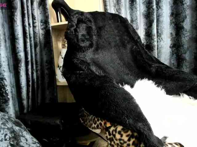 -Squirrel