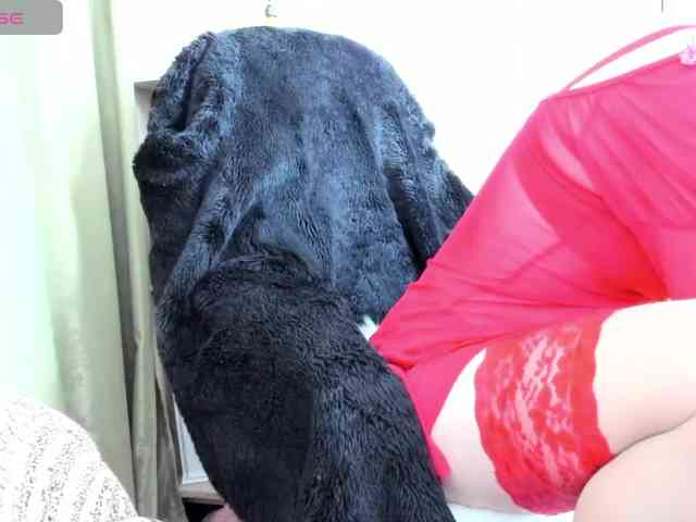 Squirrel-on-the-Bong webcam