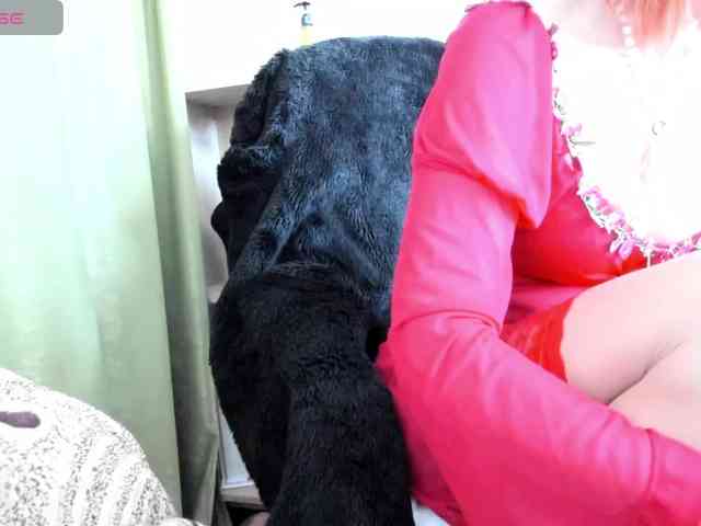 Squirrel-on-the-Bong webcam