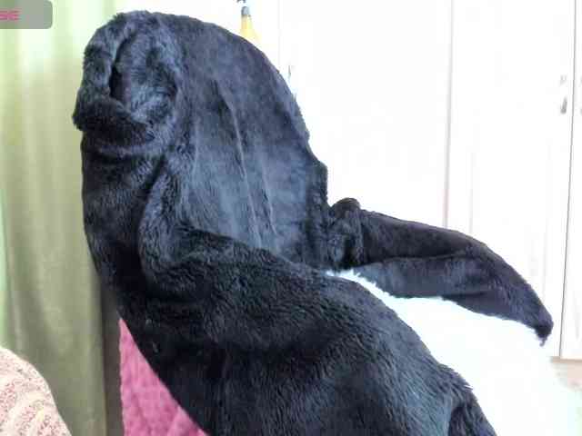 Squirrel-on-the-Bong webcam