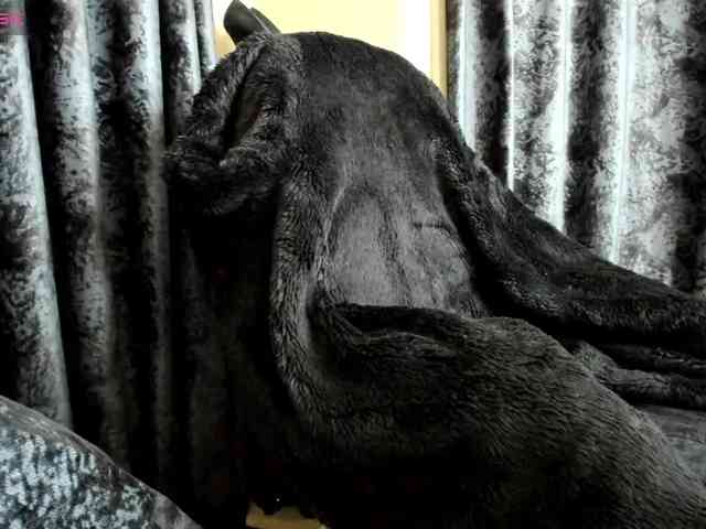 Squirrel-on-the-Bong webcam