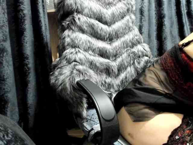 -Squirrel -Squirrel