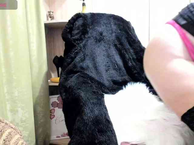 Squirrel-on-the-Bong webcam
