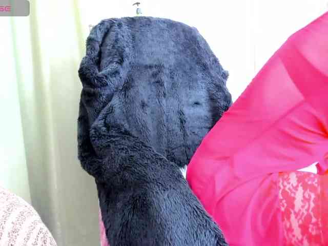 Squirrel-on-the-Bong webcam