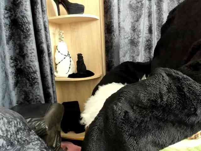 Squirrel-on-the-Bong webcam