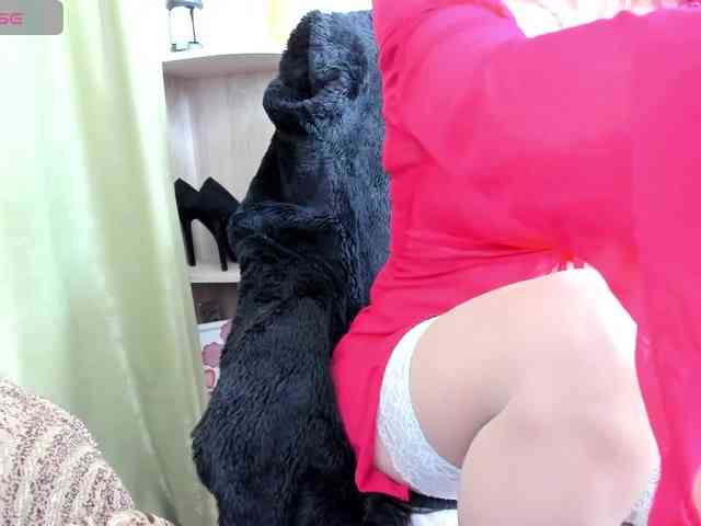 Squirrel-on-the-Bong webcam