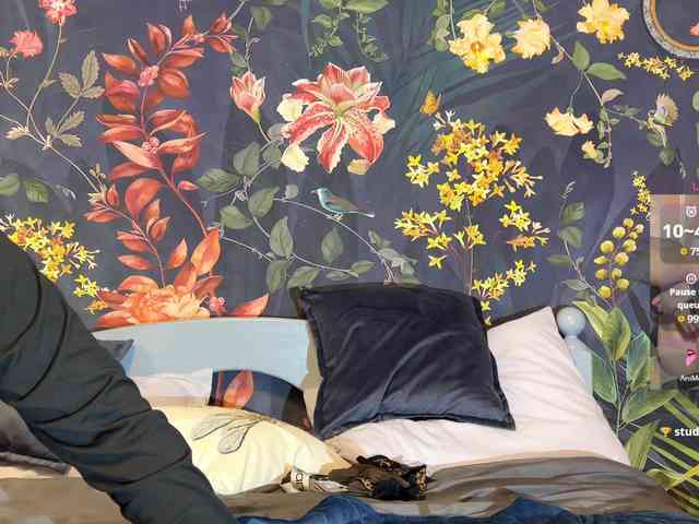 Sabrina_Smith webcam