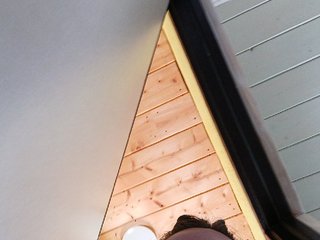 Angelia22