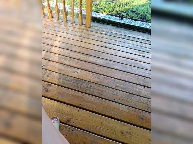 Angelia22