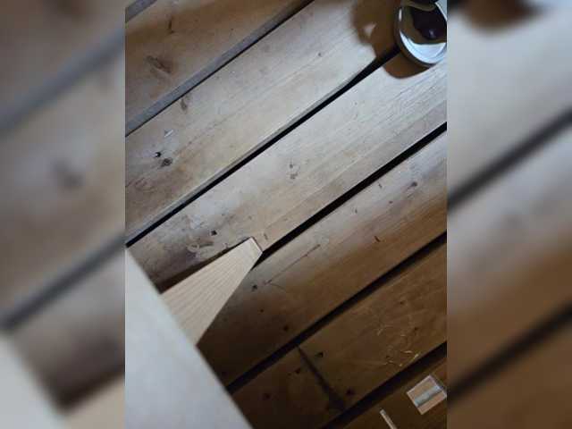 Angelia22