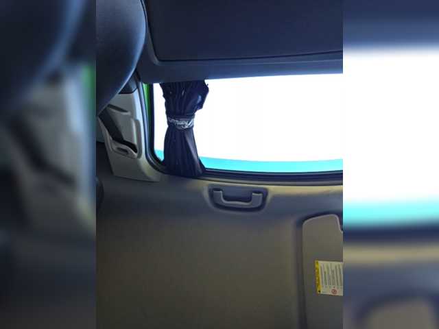 Angelia22