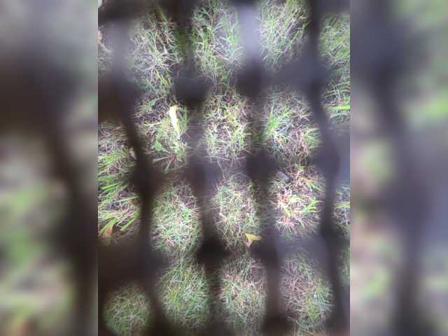 Angelia22