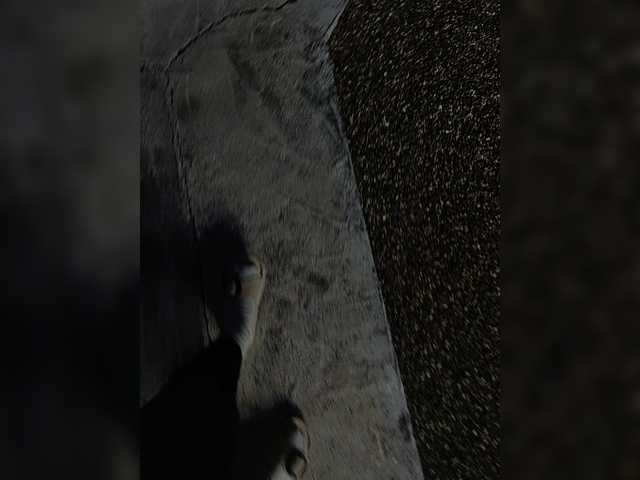 Angelia22