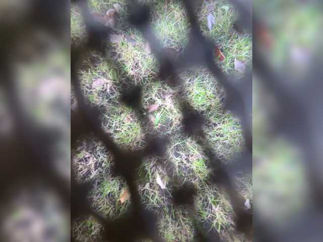 Angelia22