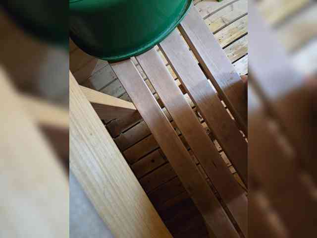 Angelia22 webcam