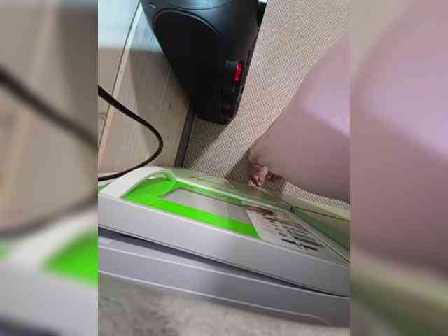 Angelia22 webcam