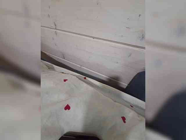 Angelia22 webcam