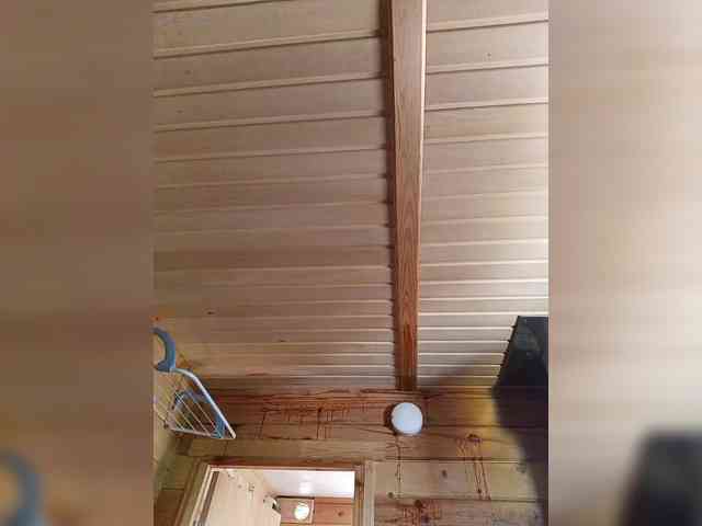 Angelia22 webcam