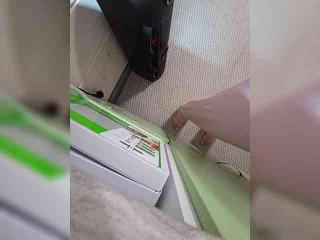 Angelia22